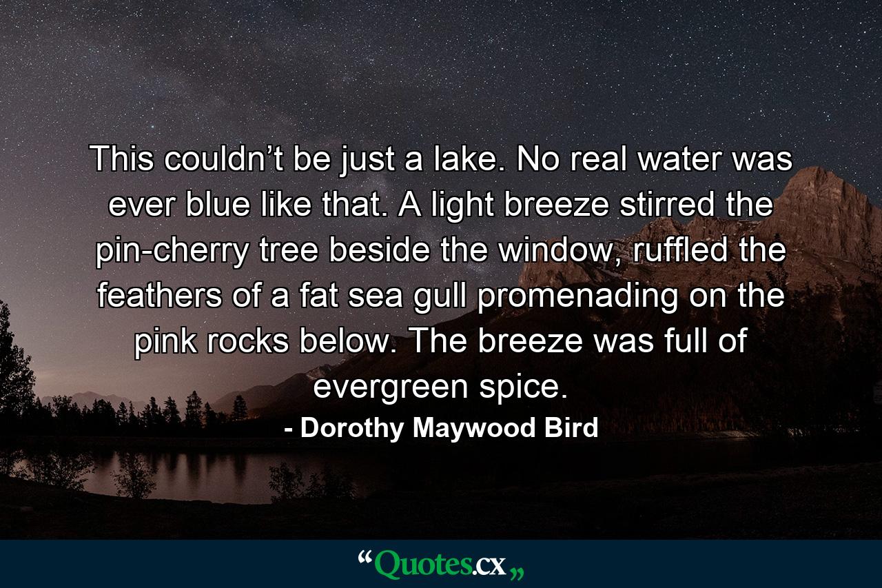 This couldn’t be just a lake. No real water was ever blue like that. A light breeze stirred the pin-cherry tree beside the window, ruffled the feathers of a fat sea gull promenading on the pink rocks below. The breeze was full of evergreen spice. - Quote by Dorothy Maywood Bird