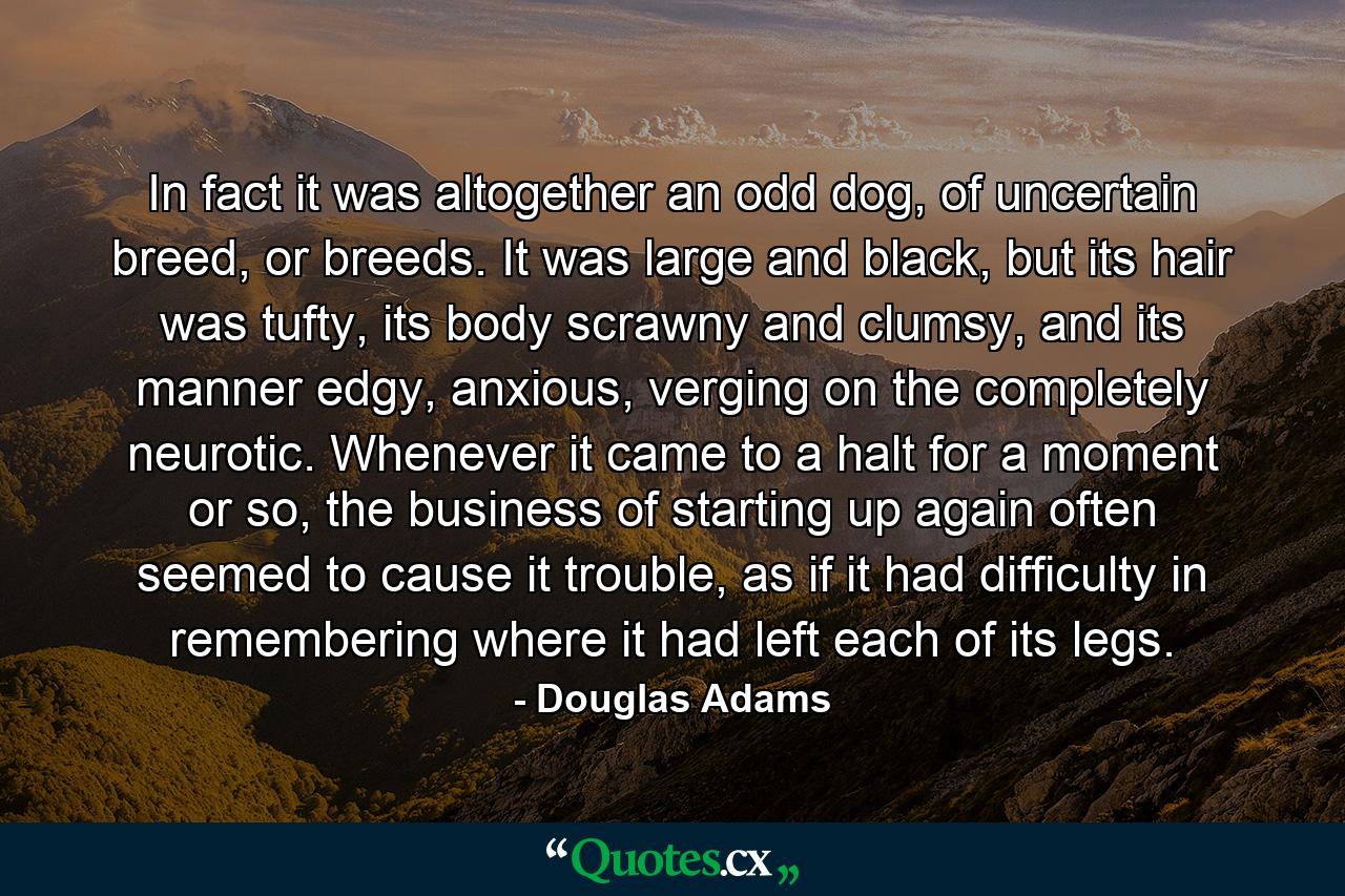 In fact it was altogether an odd dog, of uncertain breed, or breeds. It was large and black, but its hair was tufty, its body scrawny and clumsy, and its manner edgy, anxious, verging on the completely neurotic. Whenever it came to a halt for a moment or so, the business of starting up again often seemed to cause it trouble, as if it had difficulty in remembering where it had left each of its legs. - Quote by Douglas Adams