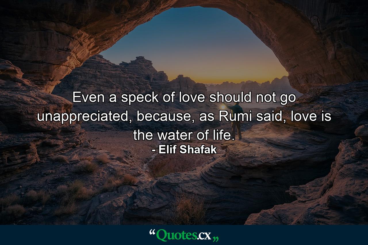 Even a speck of love should not go unappreciated, because, as Rumi said, love is the water of life. - Quote by Elif Shafak