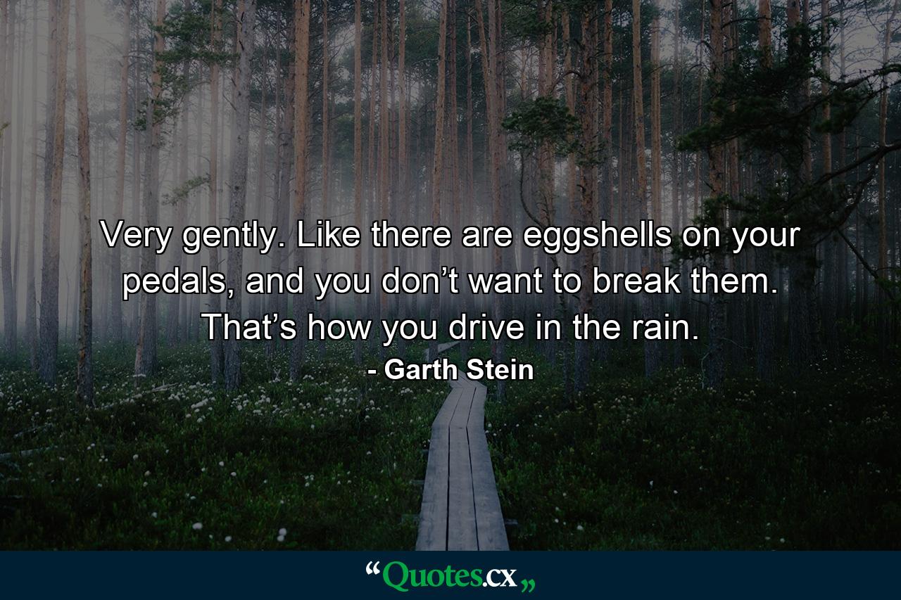 Very gently. Like there are eggshells on your pedals, and you don’t want to break them. That’s how you drive in the rain. - Quote by Garth Stein