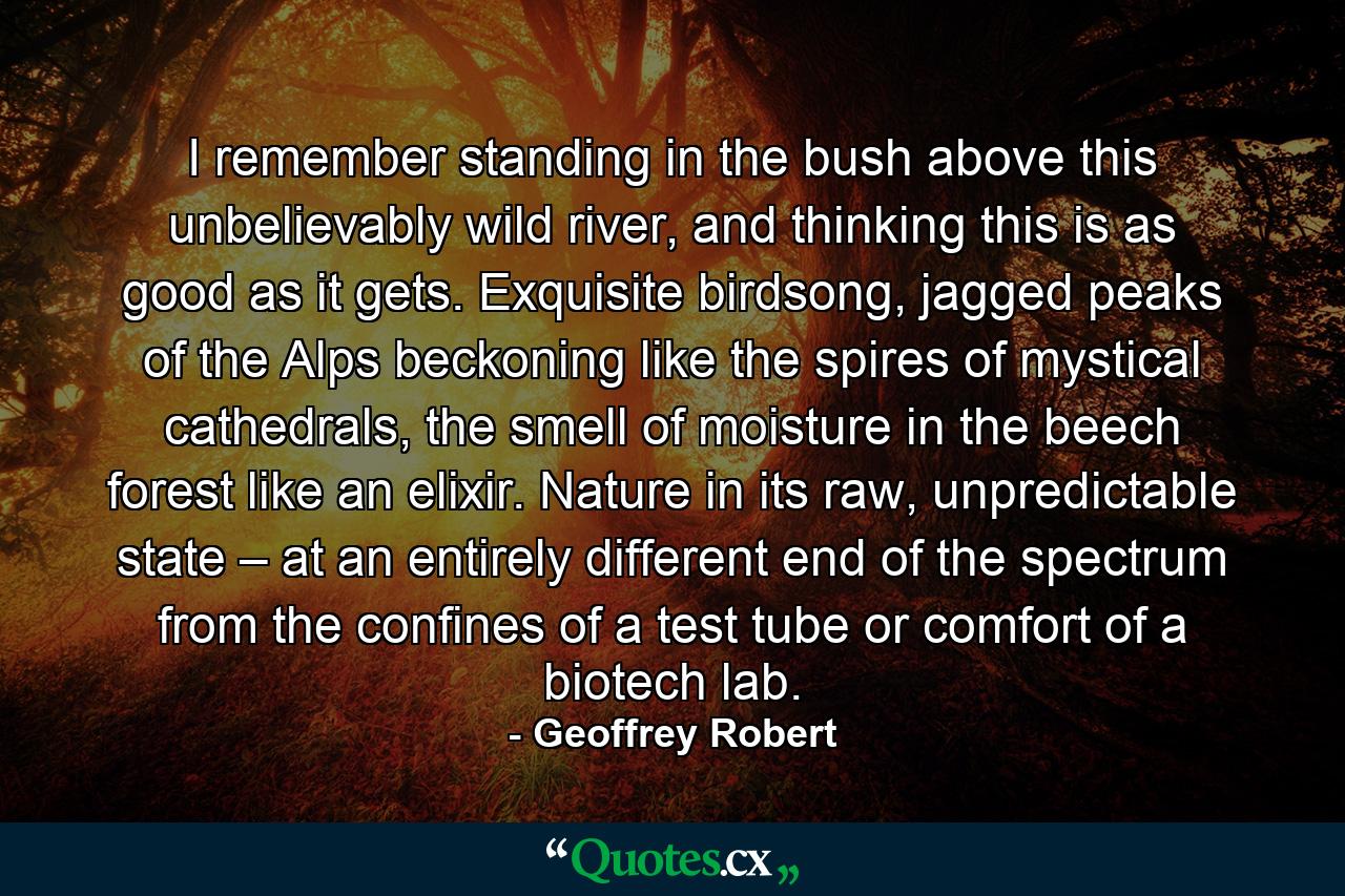 I remember standing in the bush above this unbelievably wild river, and thinking this is as good as it gets. Exquisite birdsong, jagged peaks of the Alps beckoning like the spires of mystical cathedrals, the smell of moisture in the beech forest like an elixir. Nature in its raw, unpredictable state – at an entirely different end of the spectrum from the confines of a test tube or comfort of a biotech lab. - Quote by Geoffrey Robert