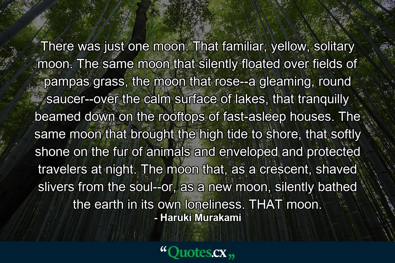 There was just one moon. That familiar, yellow, solitary moon. The same moon that silently floated over fields of pampas grass, the moon that rose--a gleaming, round saucer--over the calm surface of lakes, that tranquilly beamed down on the rooftops of fast-asleep houses. The same moon that brought the high tide to shore, that softly shone on the fur of animals and enveloped and protected travelers at night. The moon that, as a crescent, shaved slivers from the soul--or, as a new moon, silently bathed the earth in its own loneliness. THAT moon. - Quote by Haruki Murakami