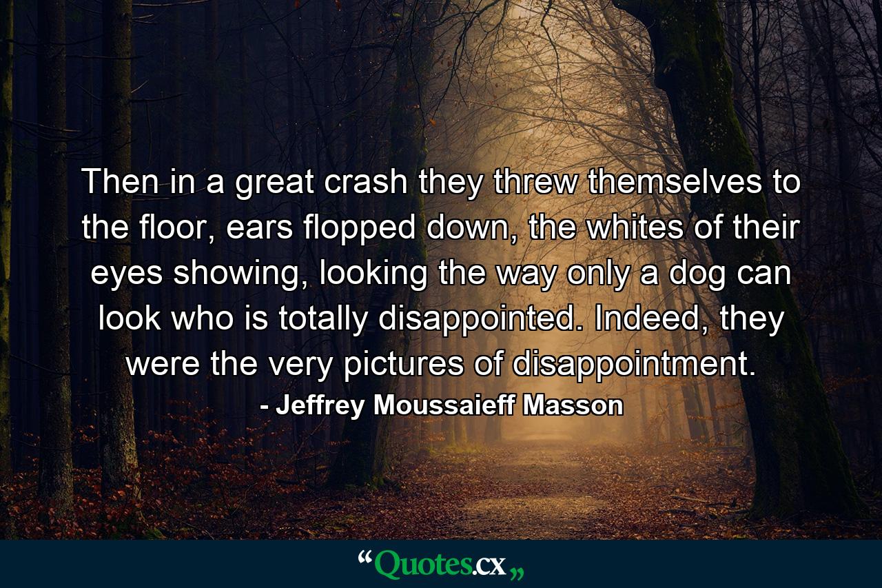 Then in a great crash they threw themselves to the floor, ears flopped down, the whites of their eyes showing, looking the way only a dog can look who is totally disappointed. Indeed, they were the very pictures of disappointment. - Quote by Jeffrey Moussaieff Masson