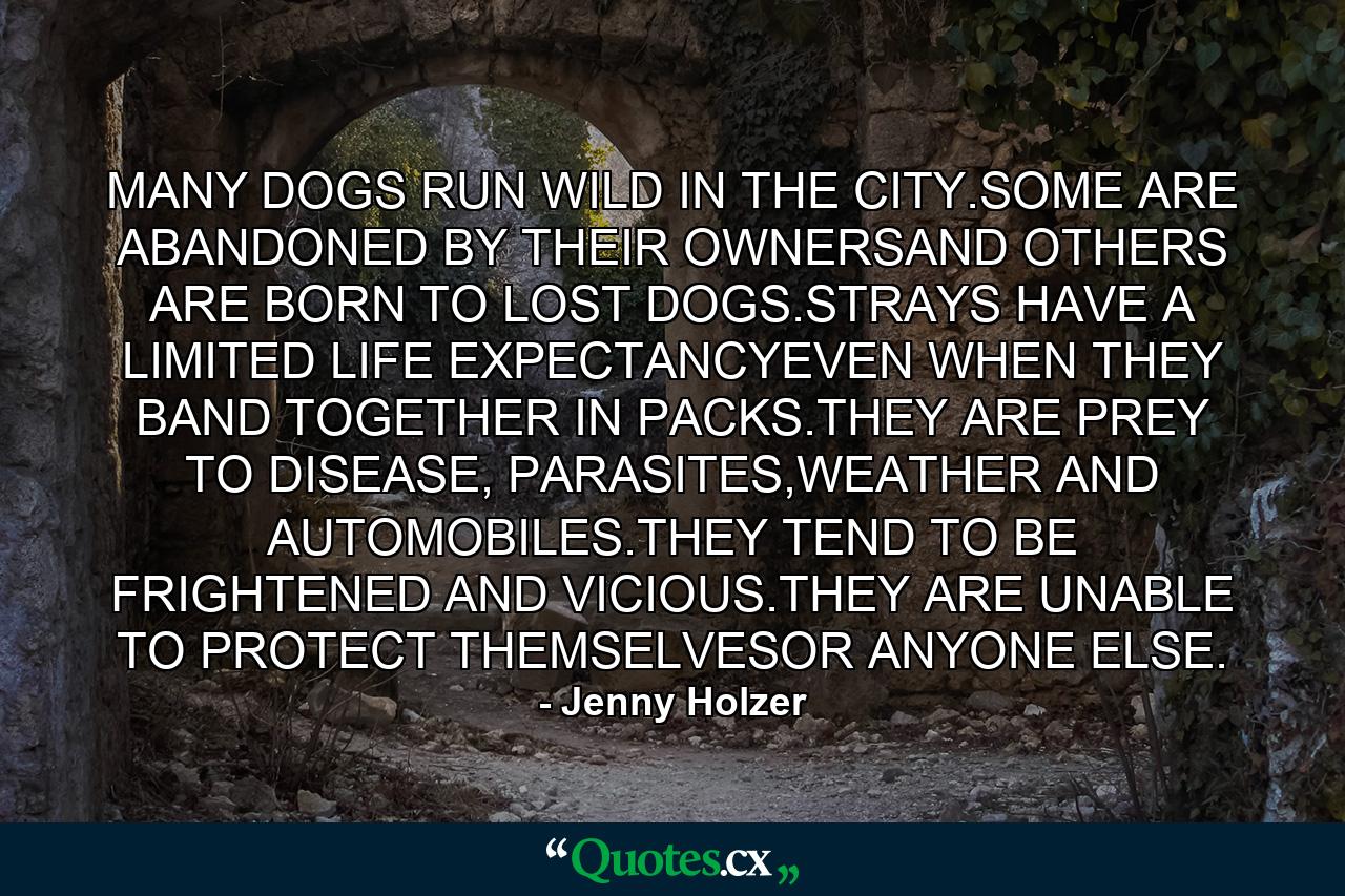 MANY DOGS RUN WILD IN THE CITY.SOME ARE ABANDONED BY THEIR OWNERSAND OTHERS ARE BORN TO LOST DOGS.STRAYS HAVE A LIMITED LIFE EXPECTANCYEVEN WHEN THEY BAND TOGETHER IN PACKS.THEY ARE PREY TO DISEASE, PARASITES,WEATHER AND AUTOMOBILES.THEY TEND TO BE FRIGHTENED AND VICIOUS.THEY ARE UNABLE TO PROTECT THEMSELVESOR ANYONE ELSE. - Quote by Jenny Holzer