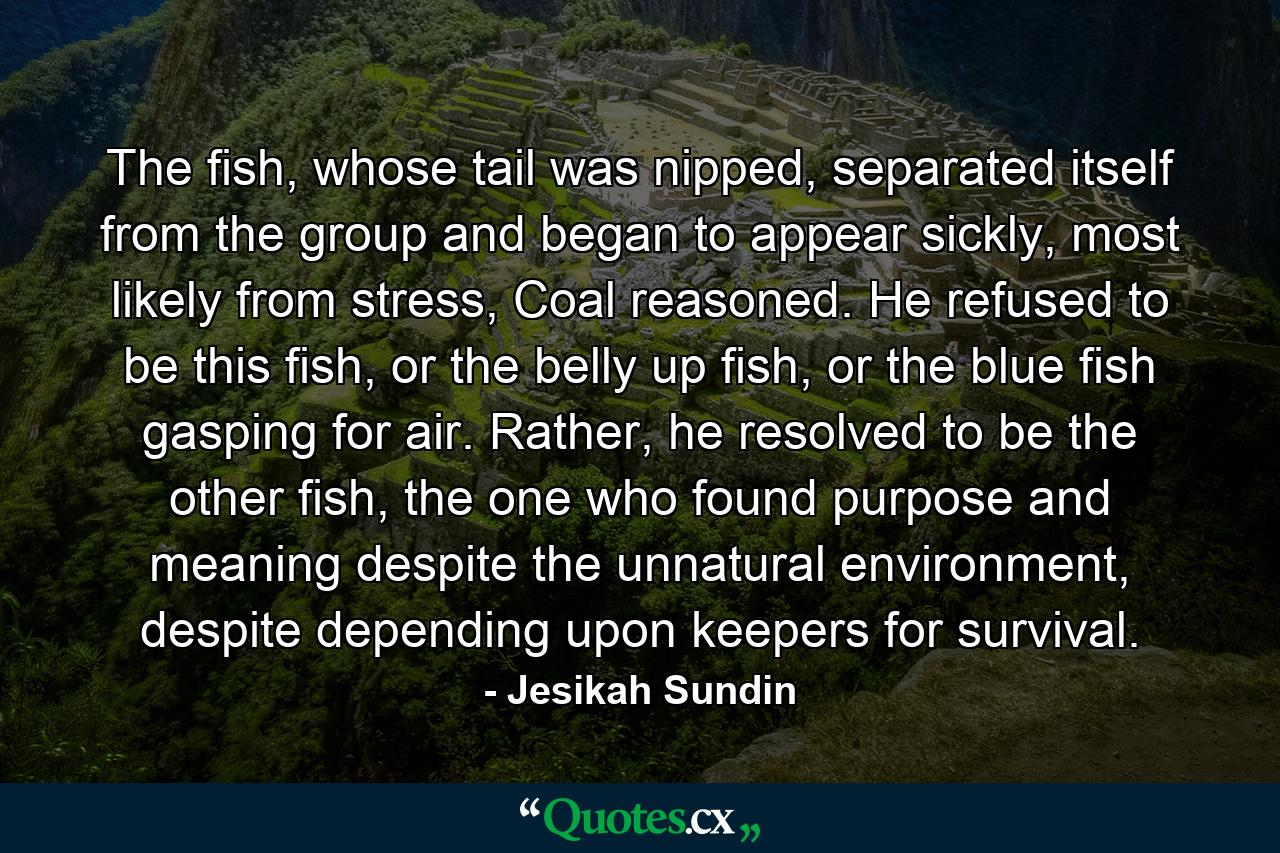 The fish, whose tail was nipped, separated itself from the group and began to appear sickly, most likely from stress, Coal reasoned. He refused to be this fish, or the belly up fish, or the blue fish gasping for air. Rather, he resolved to be the other fish, the one who found purpose and meaning despite the unnatural environment, despite depending upon keepers for survival. - Quote by Jesikah Sundin