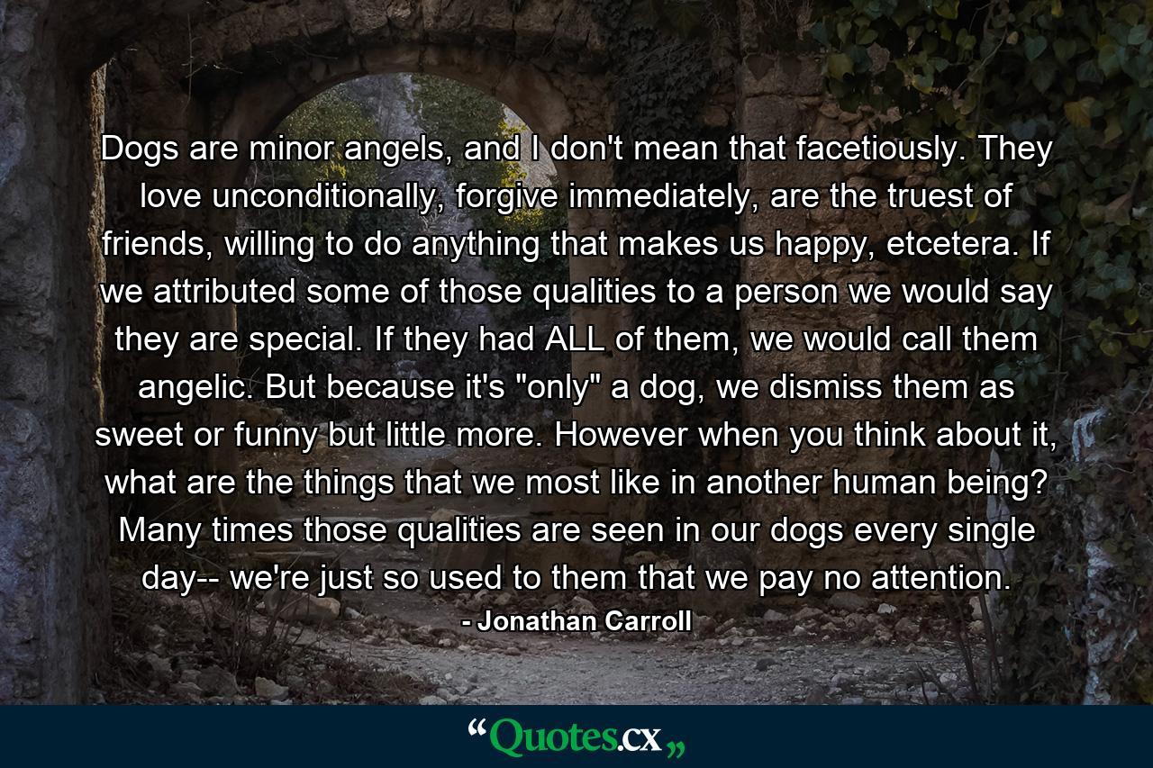 Dogs are minor angels, and I don't mean that facetiously. They love unconditionally, forgive immediately, are the truest of friends, willing to do anything that makes us happy, etcetera. If we attributed some of those qualities to a person we would say they are special. If they had ALL of them, we would call them angelic. But because it's 