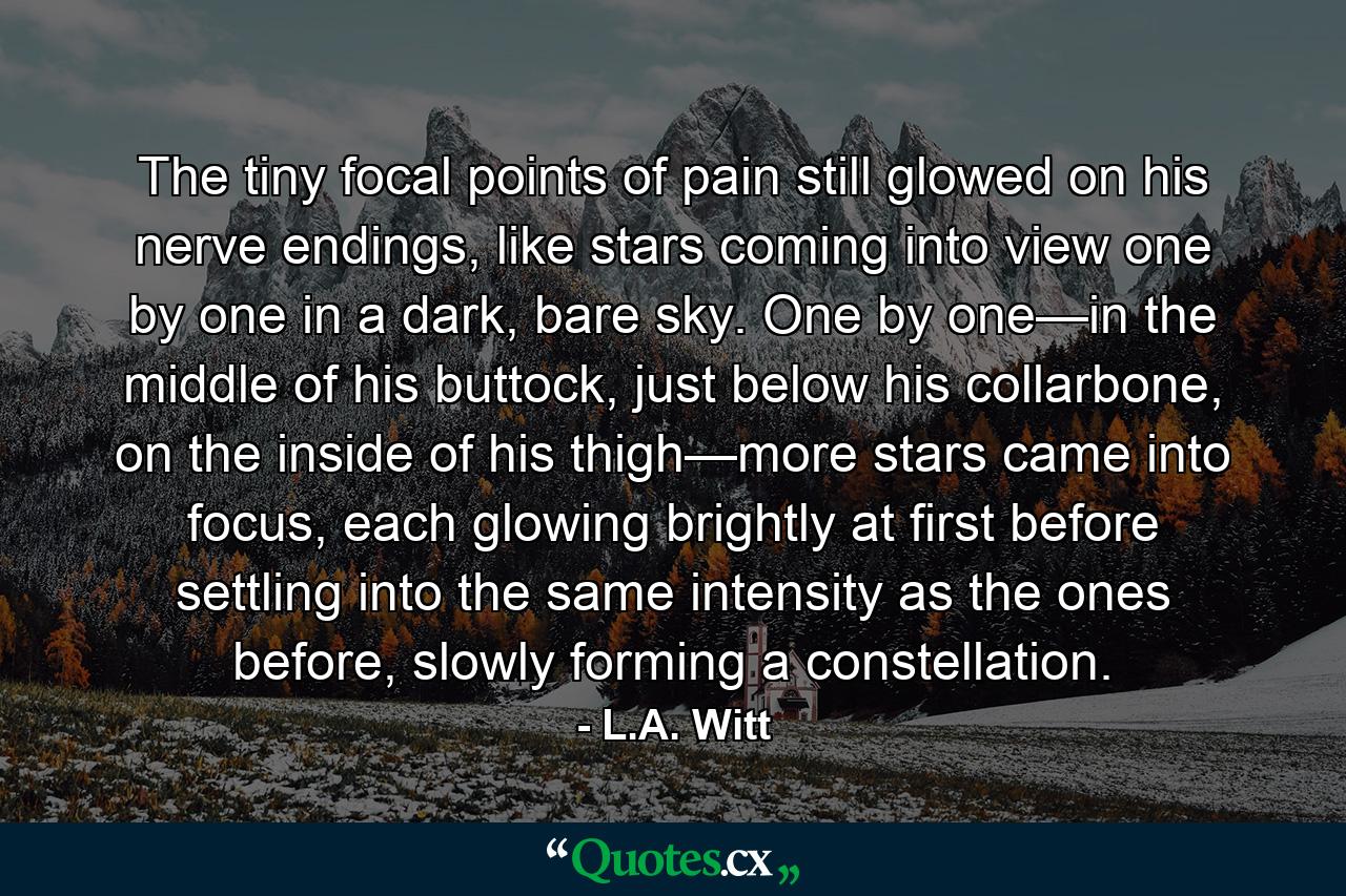 The tiny focal points of pain still glowed on his nerve endings, like stars coming into view one by one in a dark, bare sky. One by one—in the middle of his buttock, just below his collarbone, on the inside of his thigh—more stars came into focus, each glowing brightly at first before settling into the same intensity as the ones before, slowly forming a constellation. - Quote by L.A. Witt