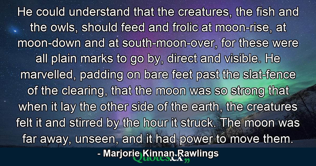 He could understand that the creatures, the fish and the owls, should feed and frolic at moon-rise, at moon-down and at south-moon-over, for these were all plain marks to go by, direct and visible. He marvelled, padding on bare feet past the slat-fence of the clearing, that the moon was so strong that when it lay the other side of the earth, the creatures felt it and stirred by the hour it struck. The moon was far away, unseen, and it had power to move them. - Quote by Marjorie Kinnan Rawlings