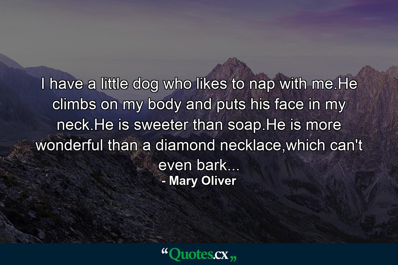 I have a little dog who likes to nap with me.He climbs on my body and puts his face in my neck.He is sweeter than soap.He is more wonderful than a diamond necklace,which can't even bark... - Quote by Mary Oliver