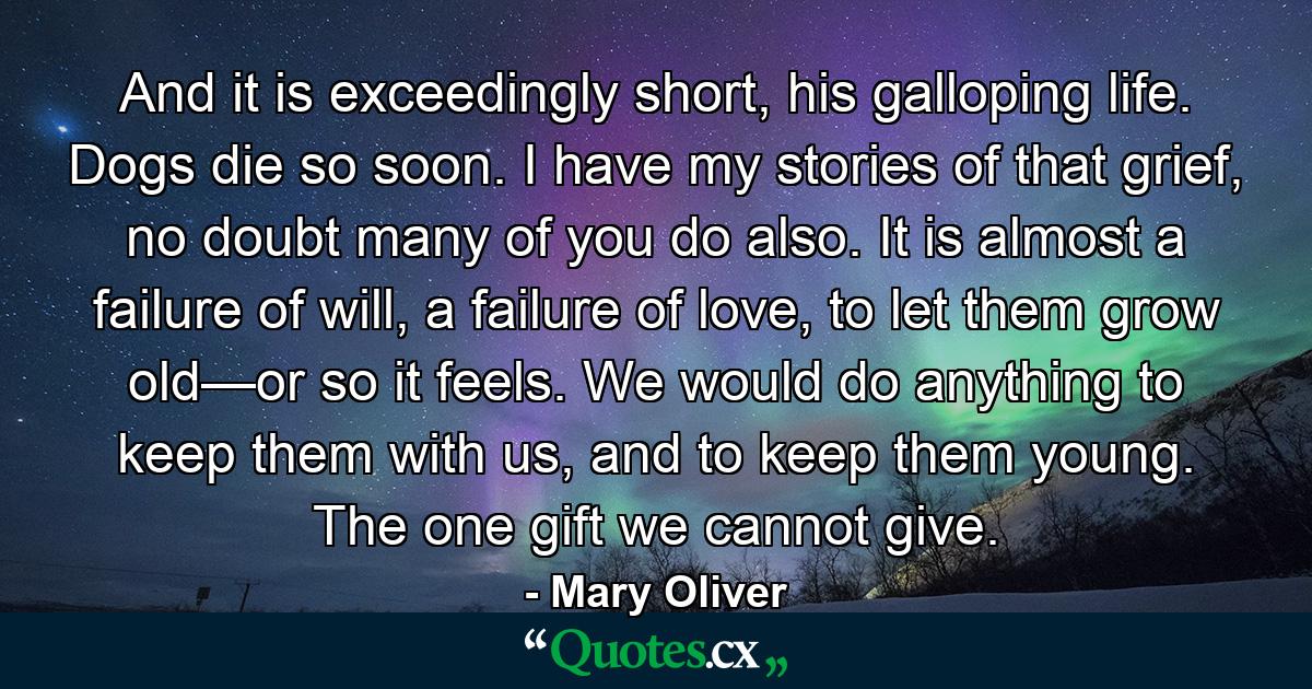 And it is exceedingly short, his galloping life. Dogs die so soon. I have my stories of that grief, no doubt many of you do also. It is almost a failure of will, a failure of love, to let them grow old—or so it feels. We would do anything to keep them with us, and to keep them young. The one gift we cannot give. - Quote by Mary Oliver