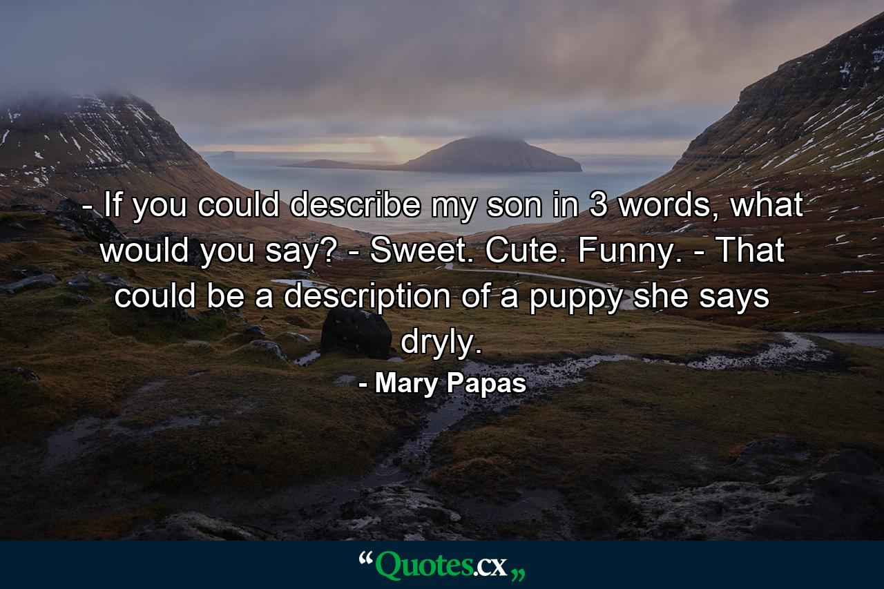 - If you could describe my son in 3 words, what would you say? - Sweet. Cute. Funny. - That could be a description of a puppy she says dryly. - Quote by Mary Papas