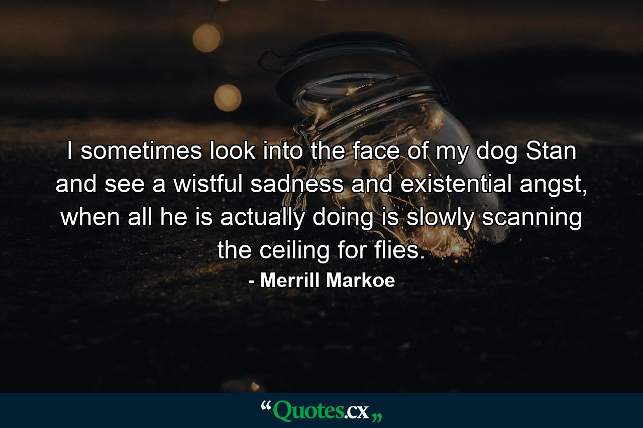 I sometimes look into the face of my dog Stan and see a wistful sadness and existential angst, when all he is actually doing is slowly scanning the ceiling for flies. - Quote by Merrill Markoe