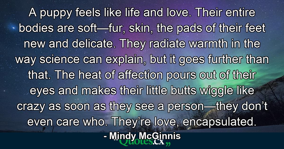 A puppy feels like life and love. Their entire bodies are soft—fur, skin, the pads of their feet new and delicate. They radiate warmth in the way science can explain, but it goes further than that. The heat of affection pours out of their eyes and makes their little butts wiggle like crazy as soon as they see a person—they don’t even care who. They’re love, encapsulated. - Quote by Mindy McGinnis