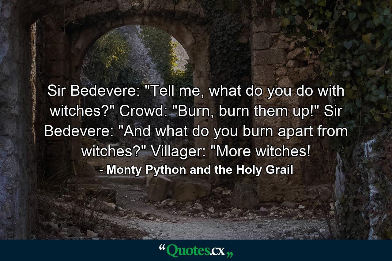 Sir Bedevere: 