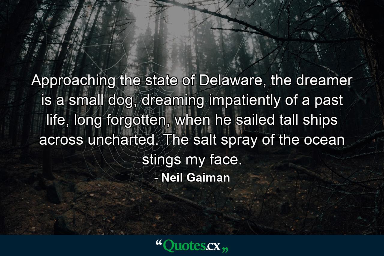 Approaching the state of Delaware, the dreamer is a small dog, dreaming impatiently of a past life, long forgotten, when he sailed tall ships across uncharted. The salt spray of the ocean stings my face. - Quote by Neil Gaiman