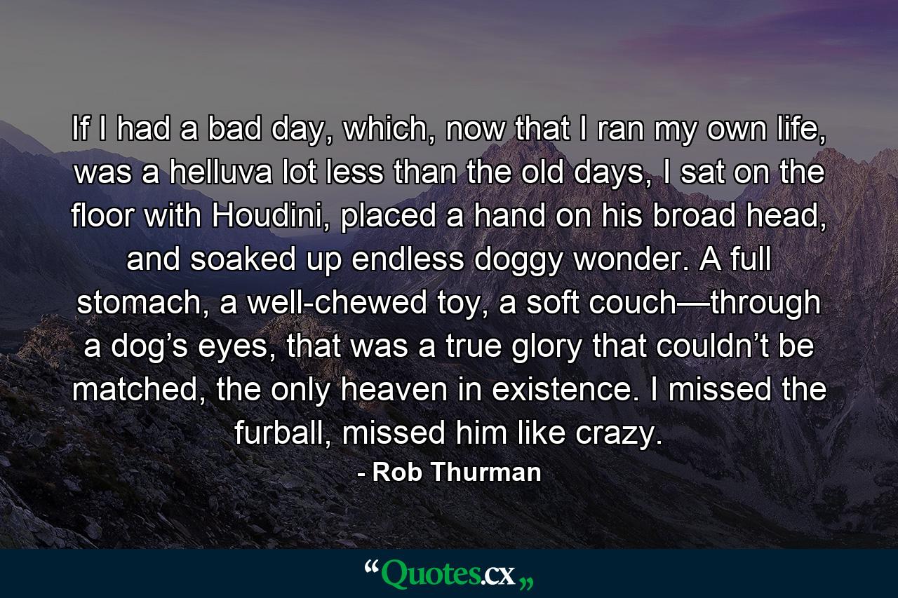 If I had a bad day, which, now that I ran my own life, was a helluva lot less than the old days, I sat on the floor with Houdini, placed a hand on his broad head, and soaked up endless doggy wonder. A full stomach, a well-chewed toy, a soft couch—through a dog’s eyes, that was a true glory that couldn’t be matched, the only heaven in existence. I missed the furball, missed him like crazy. - Quote by Rob Thurman