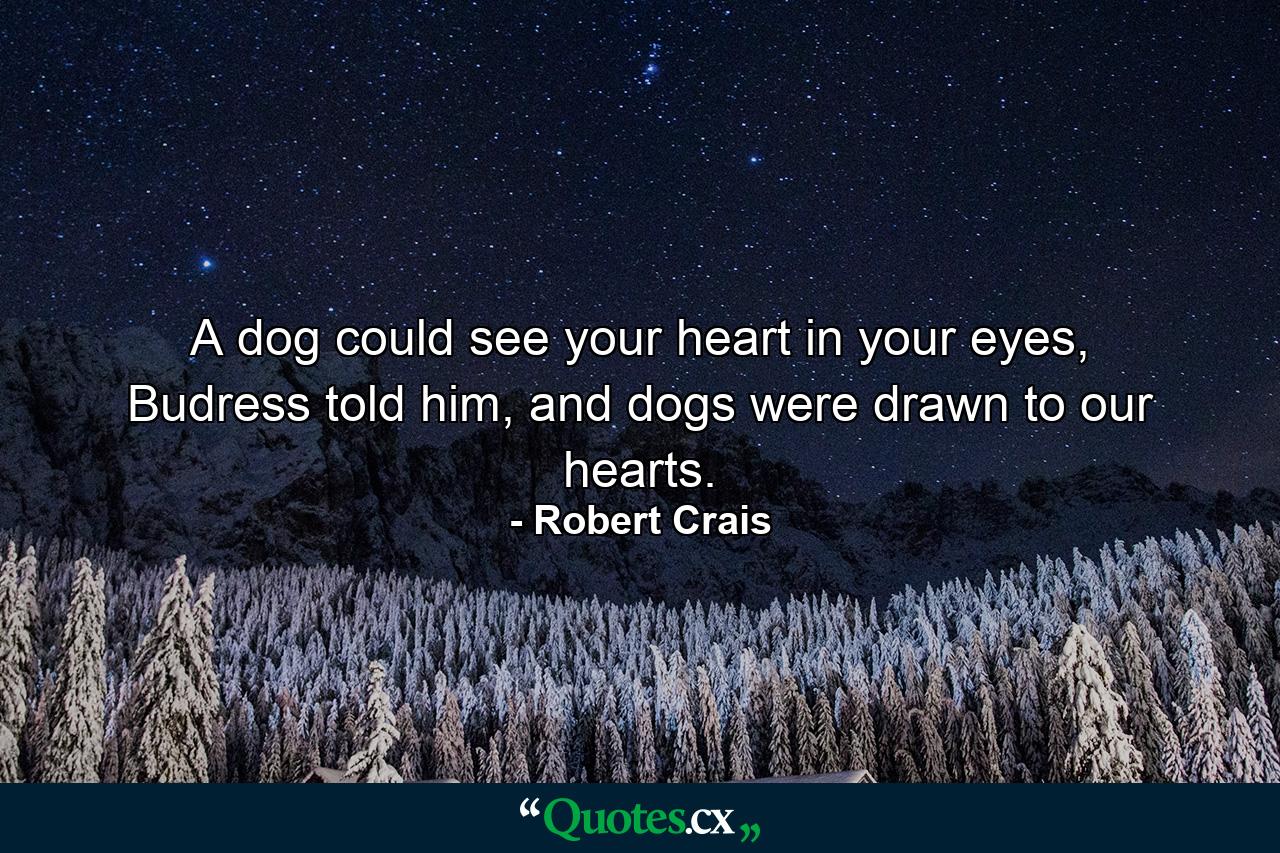 A dog could see your heart in your eyes, Budress told him, and dogs were drawn to our hearts. - Quote by Robert Crais