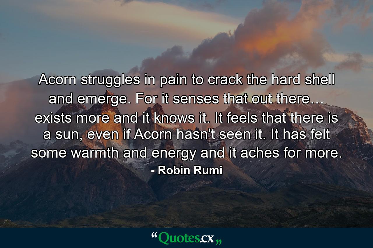 Acorn struggles in pain to crack the hard shell and emerge. For it senses that out there… exists more and it knows it. It feels that there is a sun, even if Acorn hasn't seen it. It has felt some warmth and energy and it aches for more. - Quote by Robin Rumi