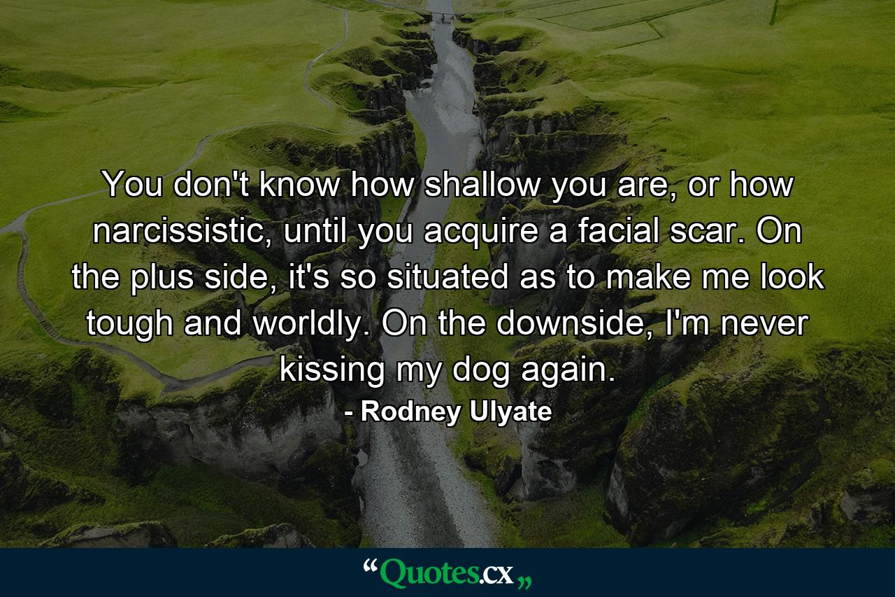 You don't know how shallow you are, or how narcissistic, until you acquire a facial scar. On the plus side, it's so situated as to make me look tough and worldly. On the downside, I'm never kissing my dog again. - Quote by Rodney Ulyate