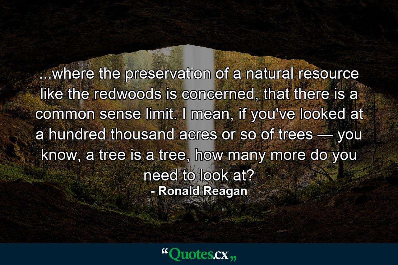 ...where the preservation of a natural resource like the redwoods is concerned, that there is a common sense limit. I mean, if you've looked at a hundred thousand acres or so of trees — you know, a tree is a tree, how many more do you need to look at? - Quote by Ronald Reagan