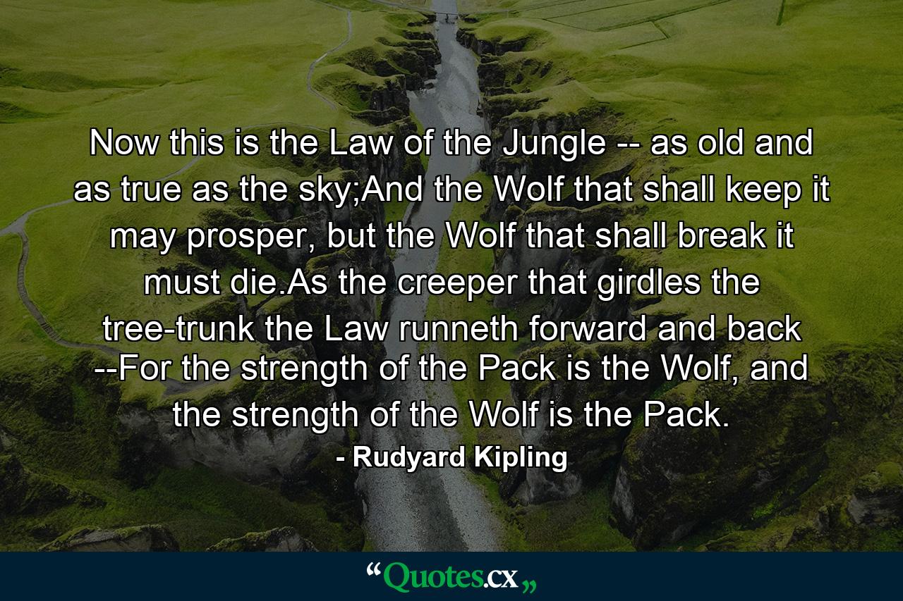 Now this is the Law of the Jungle -- as old and as true as the sky;And the Wolf that shall keep it may prosper, but the Wolf that shall break it must die.As the creeper that girdles the tree-trunk the Law runneth forward and back --For the strength of the Pack is the Wolf, and the strength of the Wolf is the Pack. - Quote by Rudyard Kipling