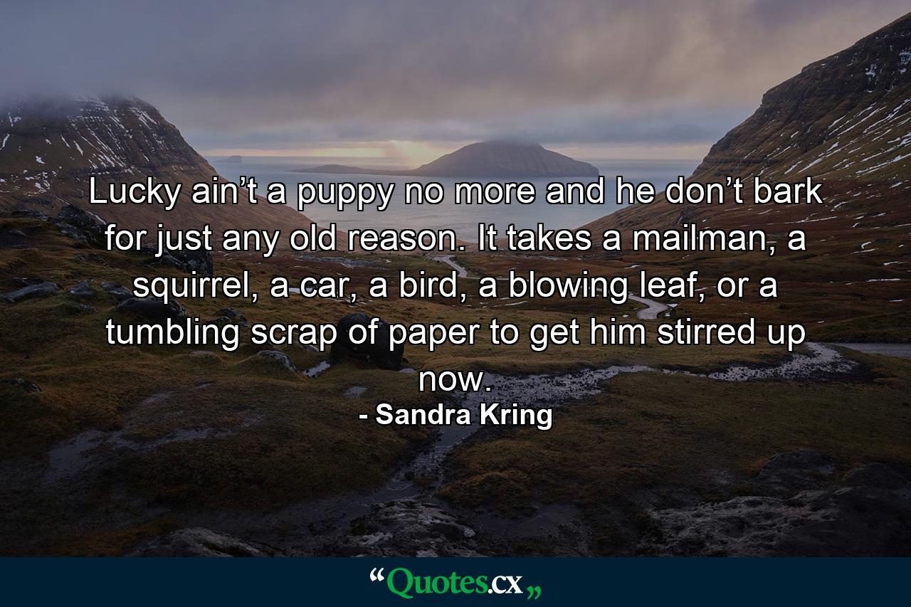 Lucky ain’t a puppy no more and he don’t bark for just any old reason. It takes a mailman, a squirrel, a car, a bird, a blowing leaf, or a tumbling scrap of paper to get him stirred up now. - Quote by Sandra Kring