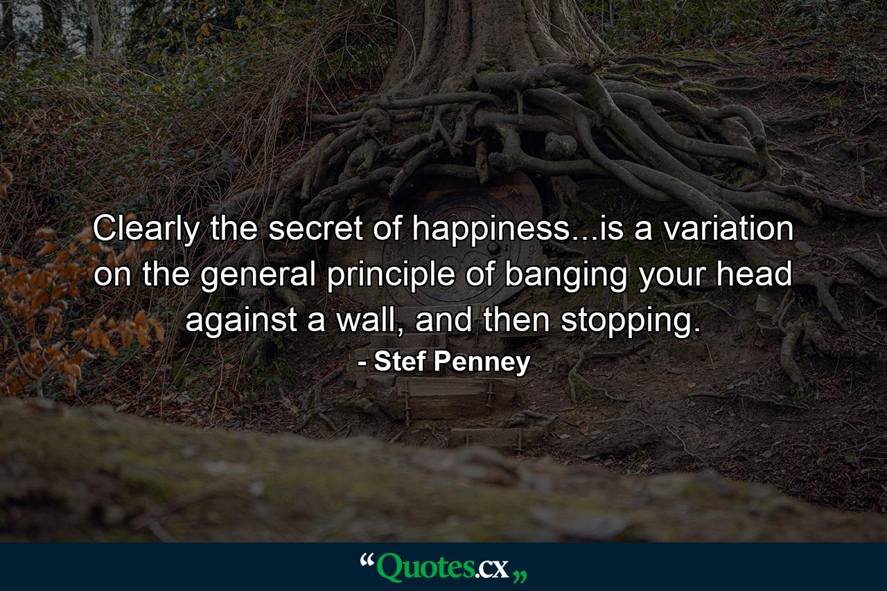 Clearly the secret of happiness...is a variation on the general principle of banging your head against a wall, and then stopping. - Quote by Stef Penney