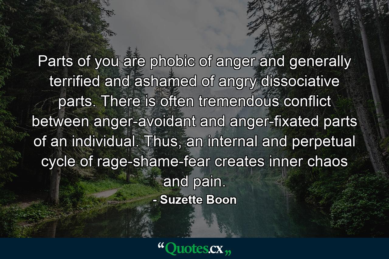 Parts of you are phobic of anger and generally terrified and ashamed of angry dissociative parts. There is often tremendous conflict between anger-avoidant and anger-fixated parts of an individual. Thus, an internal and perpetual cycle of rage-shame-fear creates inner chaos and pain. - Quote by Suzette Boon