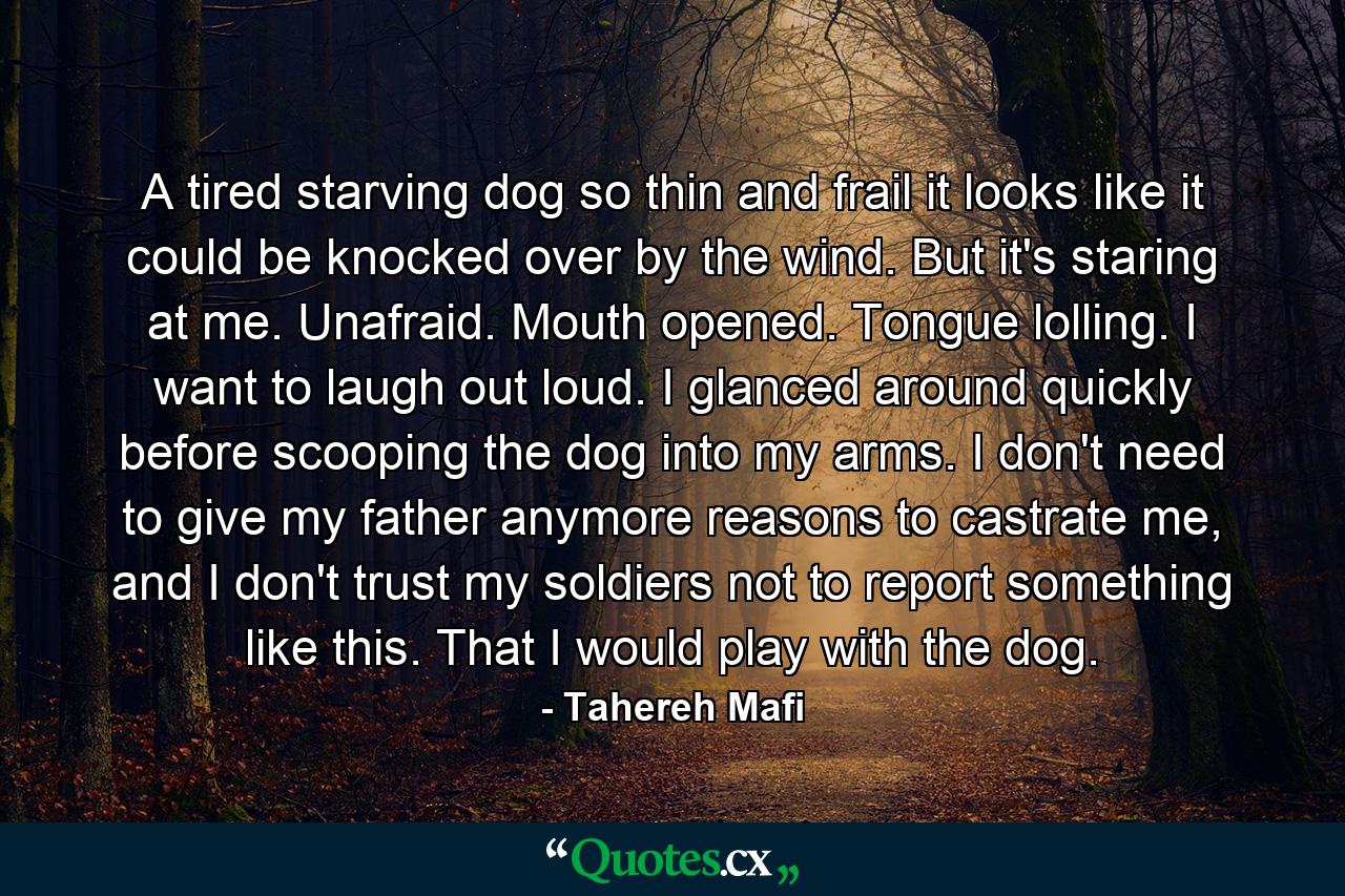 A tired starving dog so thin and frail it looks like it could be knocked over by the wind. But it's staring at me. Unafraid. Mouth opened. Tongue lolling. I want to laugh out loud. I glanced around quickly before scooping the dog into my arms. I don't need to give my father anymore reasons to castrate me, and I don't trust my soldiers not to report something like this. That I would play with the dog. - Quote by Tahereh Mafi