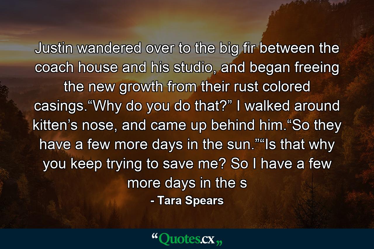 Justin wandered over to the big fir between the coach house and his studio, and began freeing the new growth from their rust colored casings.“Why do you do that?” I walked around kitten’s nose, and came up behind him.“So they have a few more days in the sun.”“Is that why you keep trying to save me? So I have a few more days in the s - Quote by Tara Spears