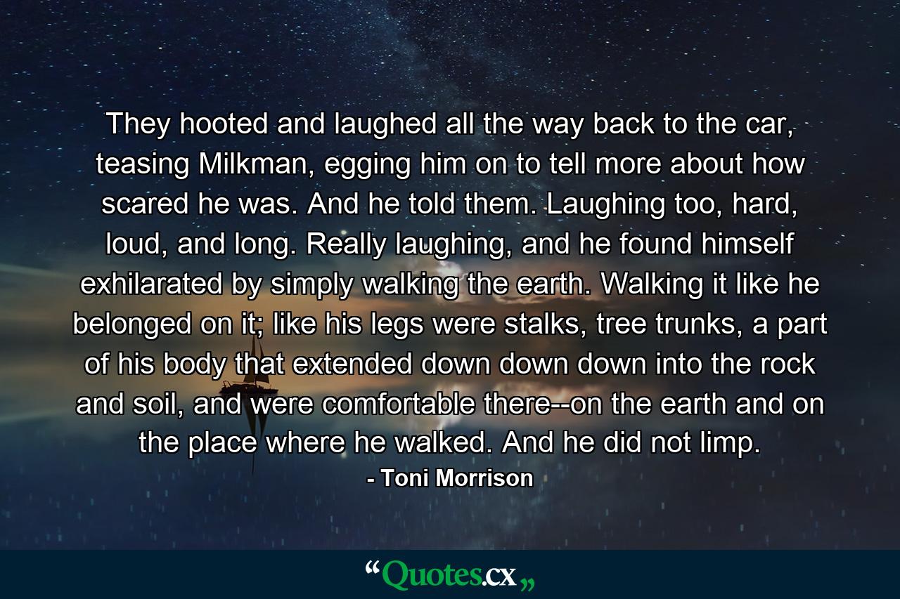 They hooted and laughed all the way back to the car, teasing Milkman, egging him on to tell more about how scared he was. And he told them. Laughing too, hard, loud, and long. Really laughing, and he found himself exhilarated by simply walking the earth. Walking it like he belonged on it; like his legs were stalks, tree trunks, a part of his body that extended down down down into the rock and soil, and were comfortable there--on the earth and on the place where he walked. And he did not limp. - Quote by Toni Morrison