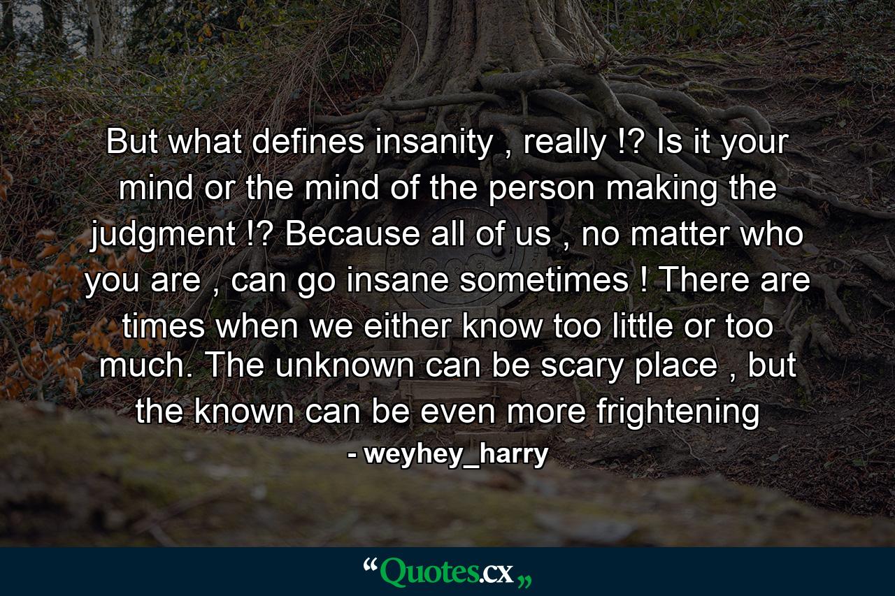 But what defines insanity , really !? Is it your mind or the mind of the person making the judgment !? Because all of us , no matter who you are , can go insane sometimes ! There are times when we either know too little or too much. The unknown can be scary place , but the known can be even more frightening - Quote by weyhey_harry