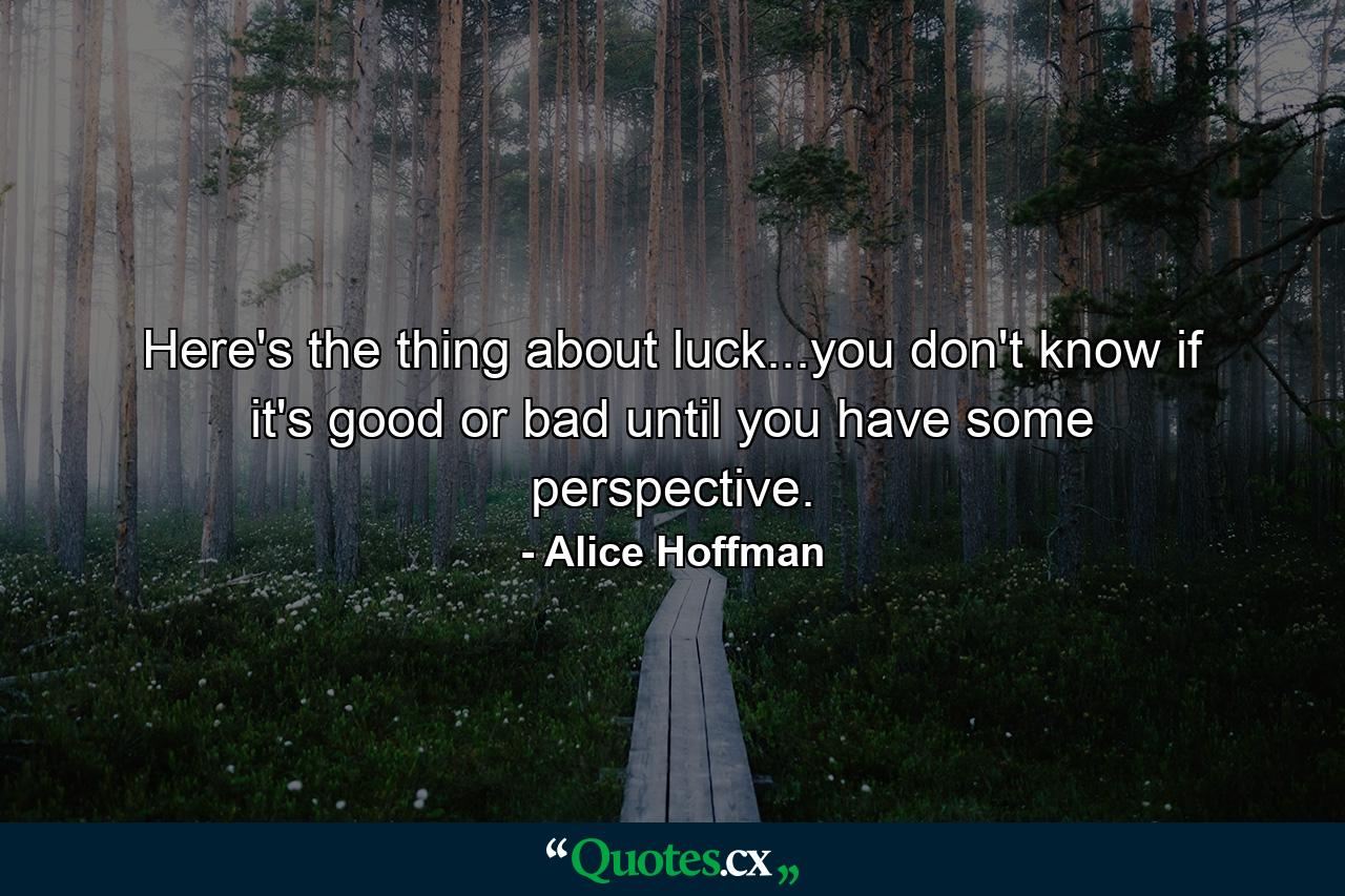 Here's the thing about luck...you don't know if it's good or bad until you have some perspective. - Quote by Alice Hoffman