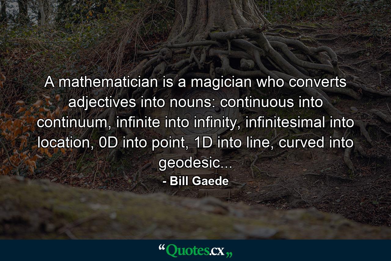 A mathematician is a magician who converts adjectives into nouns: continuous into continuum, infinite into infinity, infinitesimal into location, 0D into point, 1D into line, curved into geodesic... - Quote by Bill Gaede