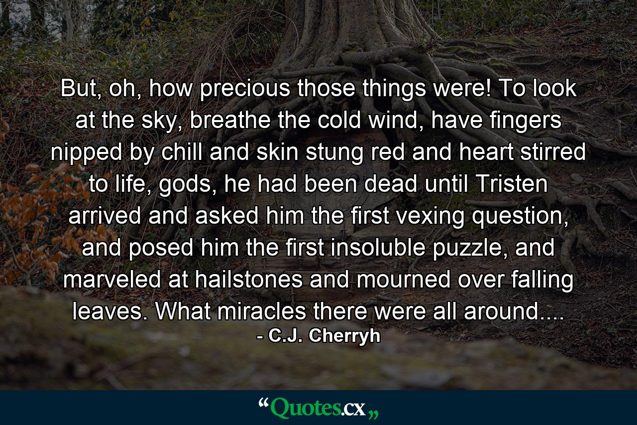 But, oh, how precious those things were! To look at the sky, breathe the cold wind, have fingers nipped by chill and skin stung red and heart stirred to life, gods, he had been dead until Tristen arrived and asked him the first vexing question, and posed him the first insoluble puzzle, and marveled at hailstones and mourned over falling leaves. What miracles there were all around.... - Quote by C.J. Cherryh