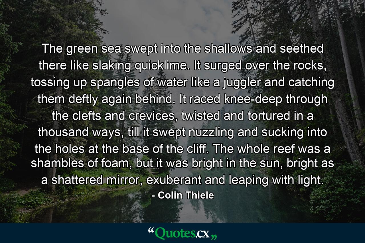 The green sea swept into the shallows and seethed there like slaking quicklime. It surged over the rocks, tossing up spangles of water like a juggler and catching them deftly again behind. It raced knee-deep through the clefts and crevices, twisted and tortured in a thousand ways, till it swept nuzzling and sucking into the holes at the base of the cliff. The whole reef was a shambles of foam, but it was bright in the sun, bright as a shattered mirror, exuberant and leaping with light. - Quote by Colin Thiele