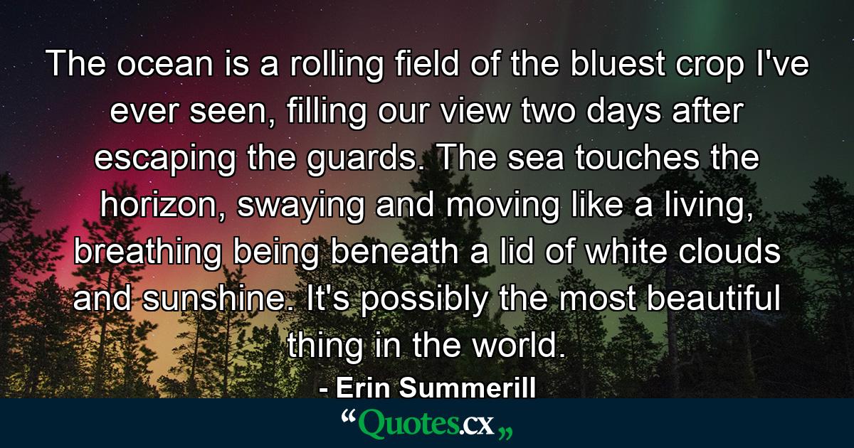 The ocean is a rolling field of the bluest crop I've ever seen, filling our view two days after escaping the guards. The sea touches the horizon, swaying and moving like a living, breathing being beneath a lid of white clouds and sunshine. It's possibly the most beautiful thing in the world. - Quote by Erin Summerill