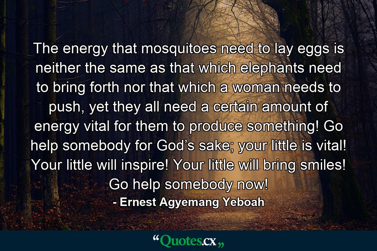 The energy that mosquitoes need to lay eggs is neither the same as that which elephants need to bring forth nor that which a woman needs to push, yet they all need a certain amount of energy vital for them to produce something! Go help somebody for God’s sake; your little is vital! Your little will inspire! Your little will bring smiles! Go help somebody now! - Quote by Ernest Agyemang Yeboah