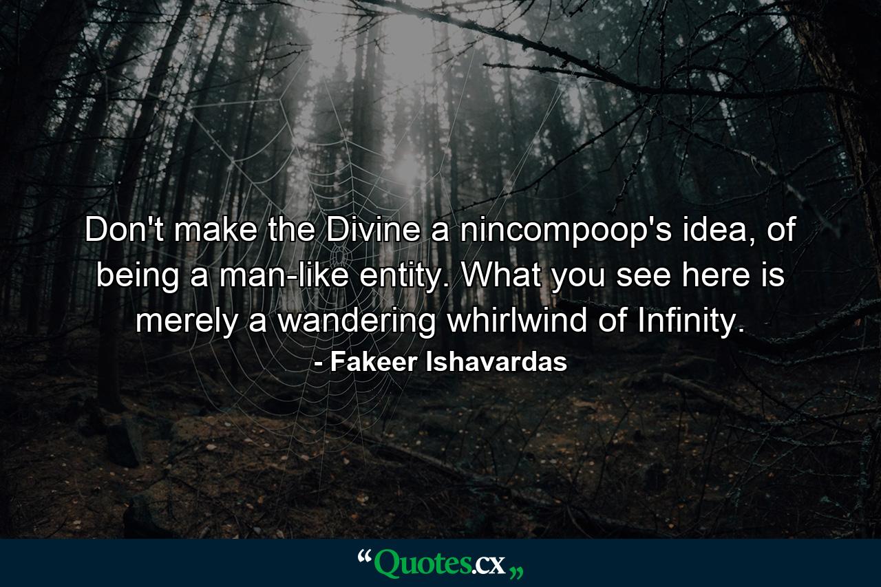 Don't make the Divine a nincompoop's idea, of being a man-like entity. What you see here is merely a wandering whirlwind of Infinity. - Quote by Fakeer Ishavardas