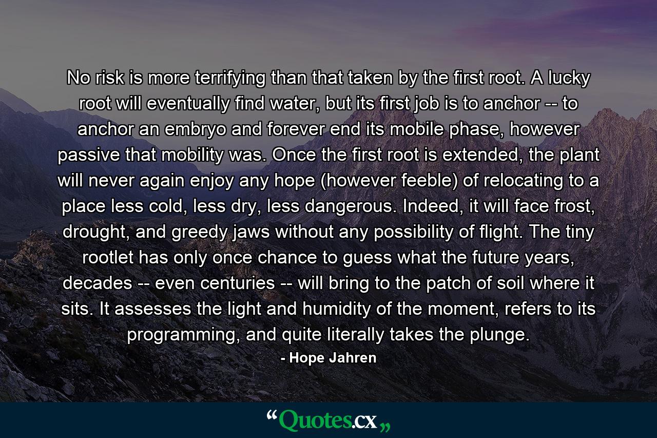 No risk is more terrifying than that taken by the first root. A lucky root will eventually find water, but its first job is to anchor -- to anchor an embryo and forever end its mobile phase, however passive that mobility was. Once the first root is extended, the plant will never again enjoy any hope (however feeble) of relocating to a place less cold, less dry, less dangerous. Indeed, it will face frost, drought, and greedy jaws without any possibility of flight. The tiny rootlet has only once chance to guess what the future years, decades -- even centuries -- will bring to the patch of soil where it sits. It assesses the light and humidity of the moment, refers to its programming, and quite literally takes the plunge. - Quote by Hope Jahren