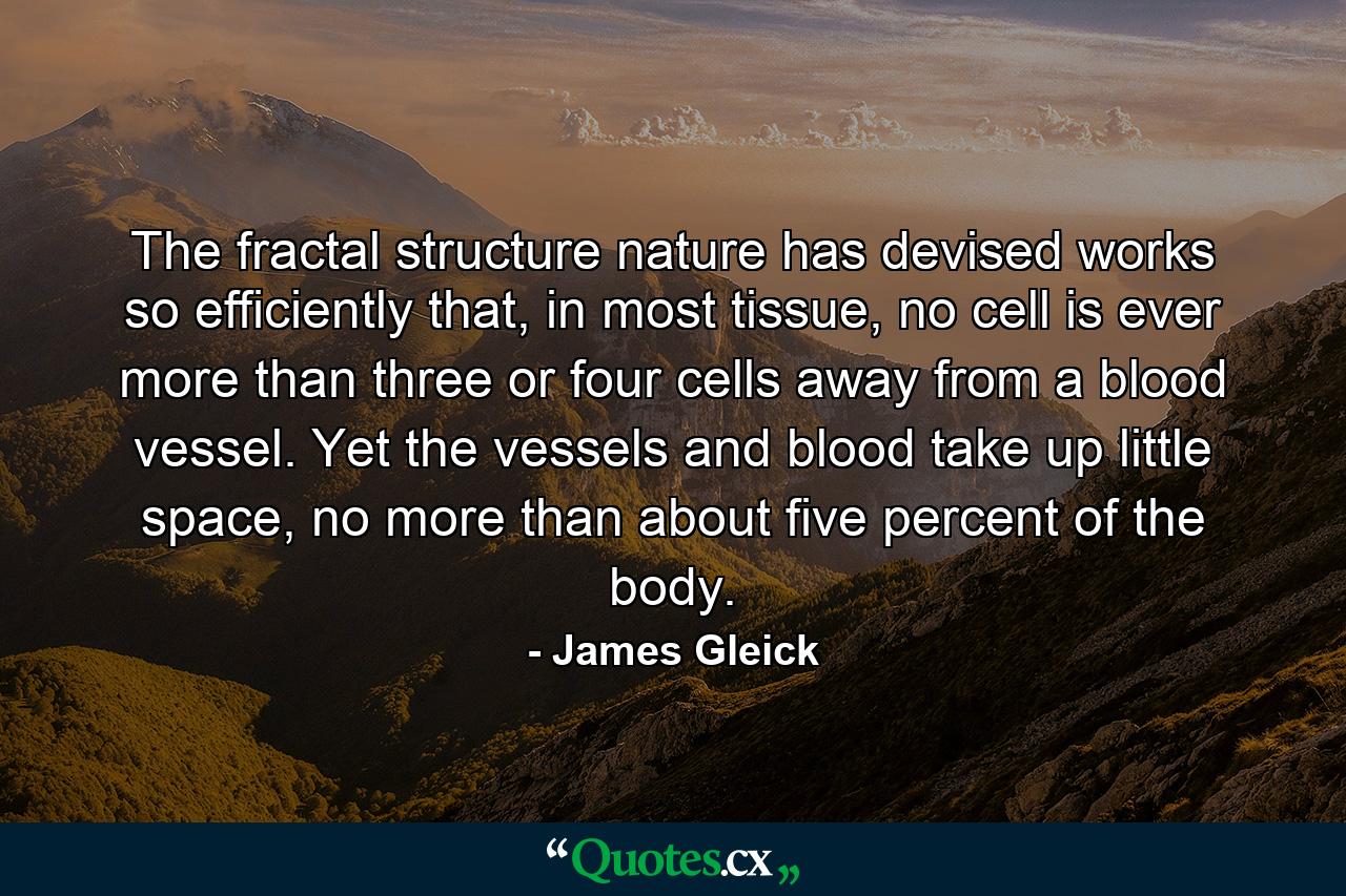 The fractal structure nature has devised works so efficiently that, in most tissue, no cell is ever more than three or four cells away from a blood vessel. Yet the vessels and blood take up little space, no more than about five percent of the body. - Quote by James Gleick