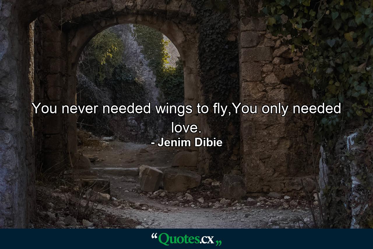 You never needed wings to fly,You only needed love. - Quote by Jenim Dibie