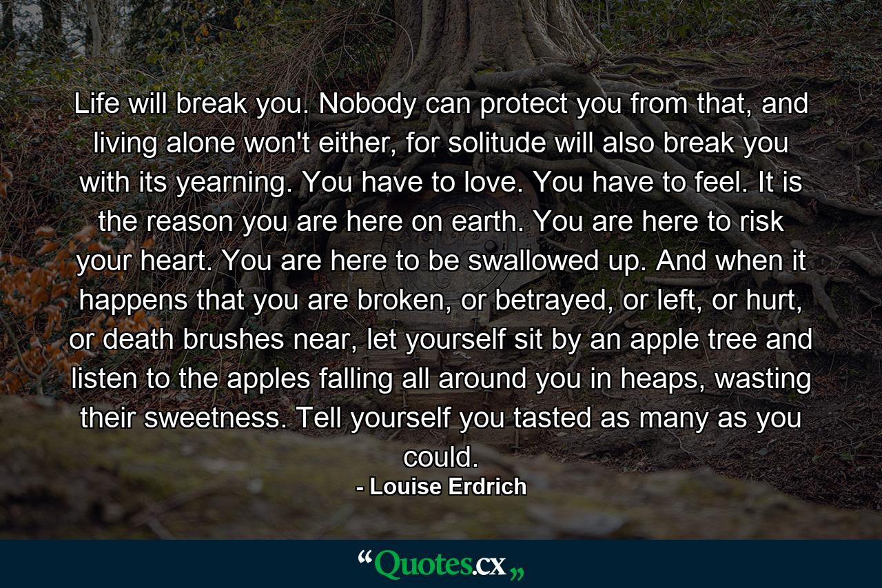 Life will break you. Nobody can protect you from that, and living alone won't either, for solitude will also break you with its yearning. You have to love. You have to feel. It is the reason you are here on earth. You are here to risk your heart. You are here to be swallowed up. And when it happens that you are broken, or betrayed, or left, or hurt, or death brushes near, let yourself sit by an apple tree and listen to the apples falling all around you in heaps, wasting their sweetness. Tell yourself you tasted as many as you could. - Quote by Louise Erdrich