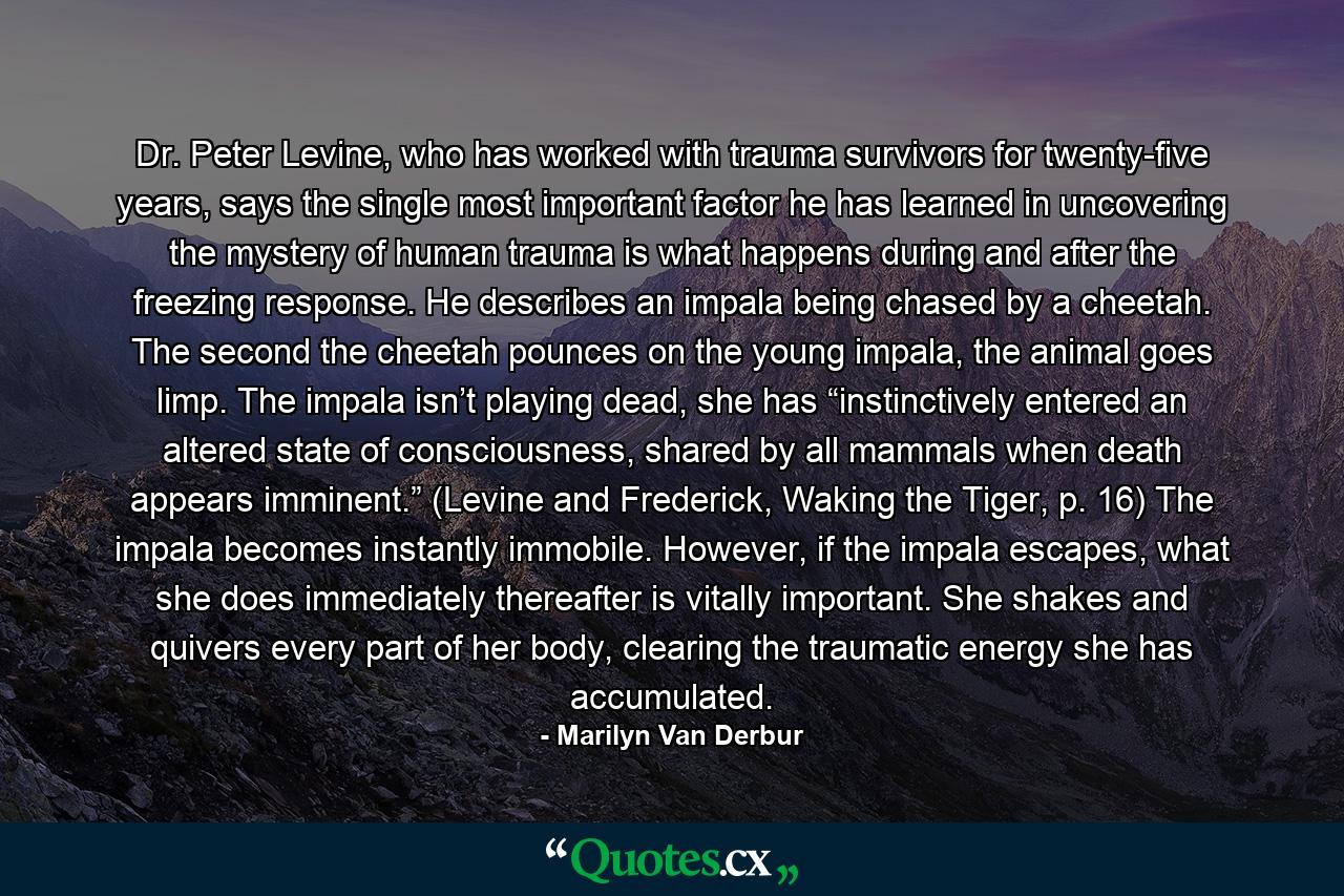 Dr. Peter Levine, who has worked with trauma survivors for twenty-five years, says the single most important factor he has learned in uncovering the mystery of human trauma is what happens during and after the freezing response. He describes an impala being chased by a cheetah. The second the cheetah pounces on the young impala, the animal goes limp. The impala isn’t playing dead, she has “instinctively entered an altered state of consciousness, shared by all mammals when death appears imminent.” (Levine and Frederick, Waking the Tiger, p. 16) The impala becomes instantly immobile. However, if the impala escapes, what she does immediately thereafter is vitally important. She shakes and quivers every part of her body, clearing the traumatic energy she has accumulated. - Quote by Marilyn Van Derbur