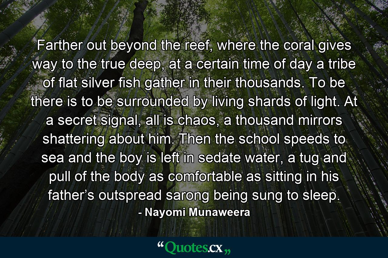 Farther out beyond the reef, where the coral gives way to the true deep, at a certain time of day a tribe of flat silver fish gather in their thousands. To be there is to be surrounded by living shards of light. At a secret signal, all is chaos, a thousand mirrors shattering about him. Then the school speeds to sea and the boy is left in sedate water, a tug and pull of the body as comfortable as sitting in his father’s outspread sarong being sung to sleep. - Quote by Nayomi Munaweera