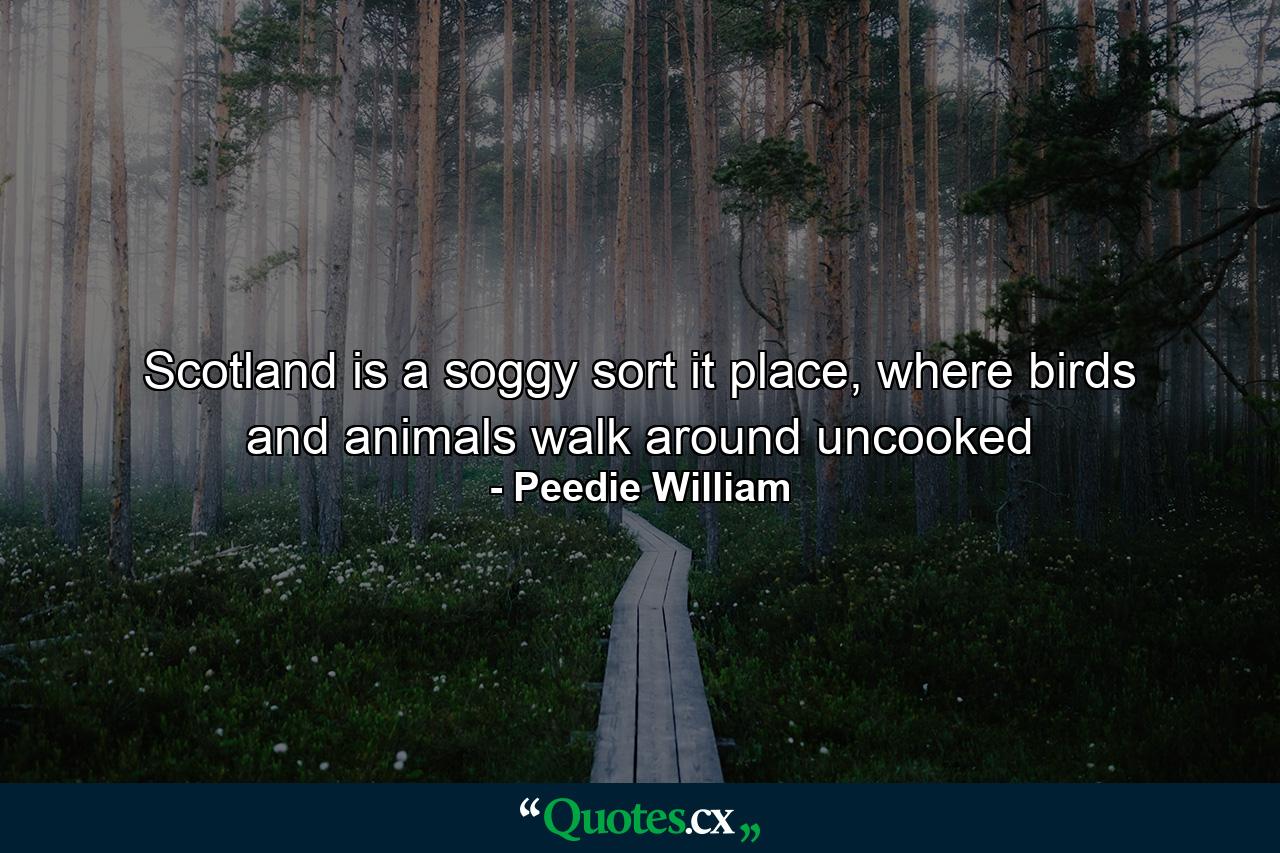 Scotland is a soggy sort it place, where birds and animals walk around uncooked - Quote by Peedie William