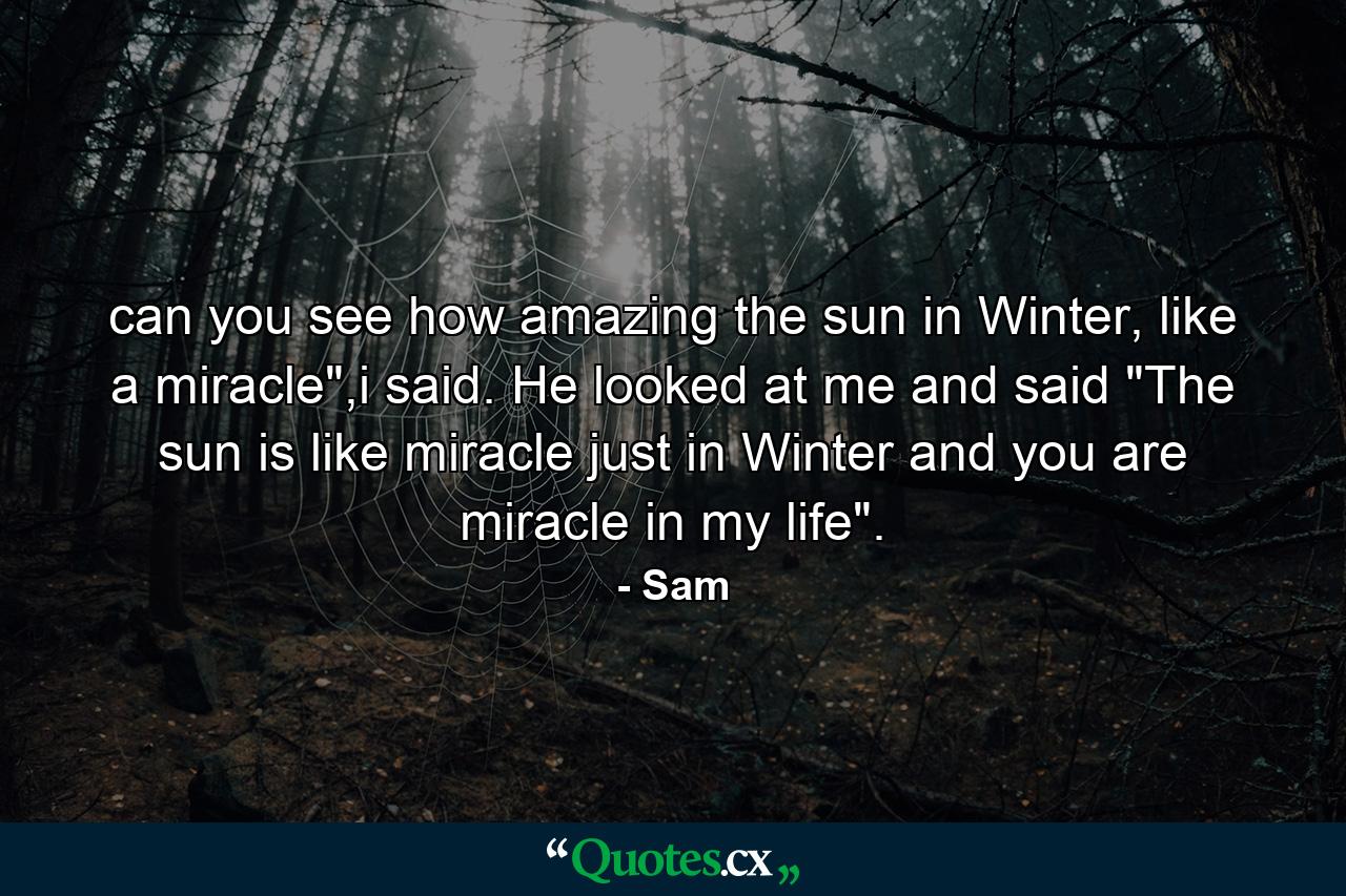 can you see how amazing the sun in Winter, like a miracle