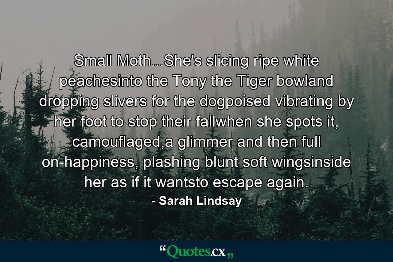 Small Moth...She's slicing ripe white peachesinto the Tony the Tiger bowland dropping slivers for the dogpoised vibrating by her foot to stop their fallwhen she spots it, camouflaged,a glimmer and then full on-happiness, plashing blunt soft wingsinside her as if it wantsto escape again. - Quote by Sarah Lindsay