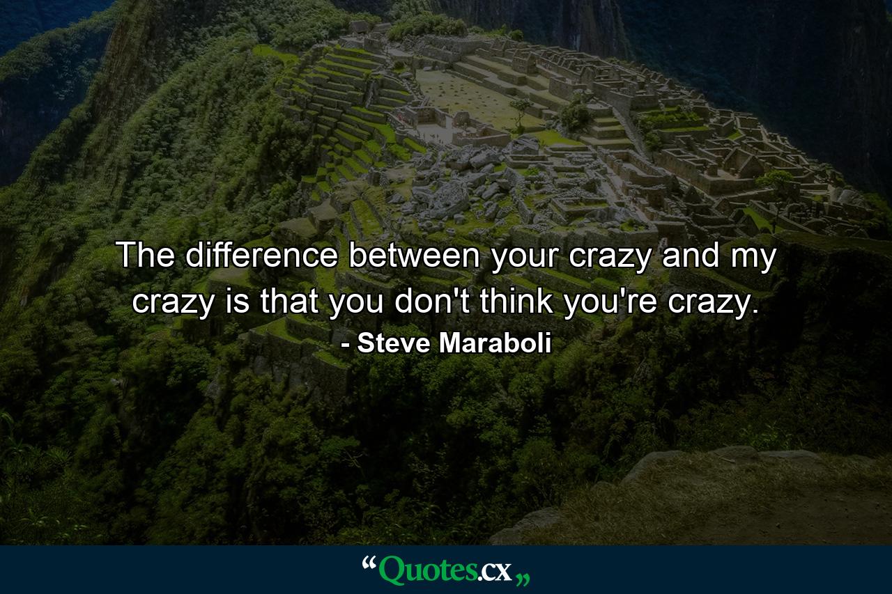 The difference between your crazy and my crazy is that you don't think you're crazy. - Quote by Steve Maraboli