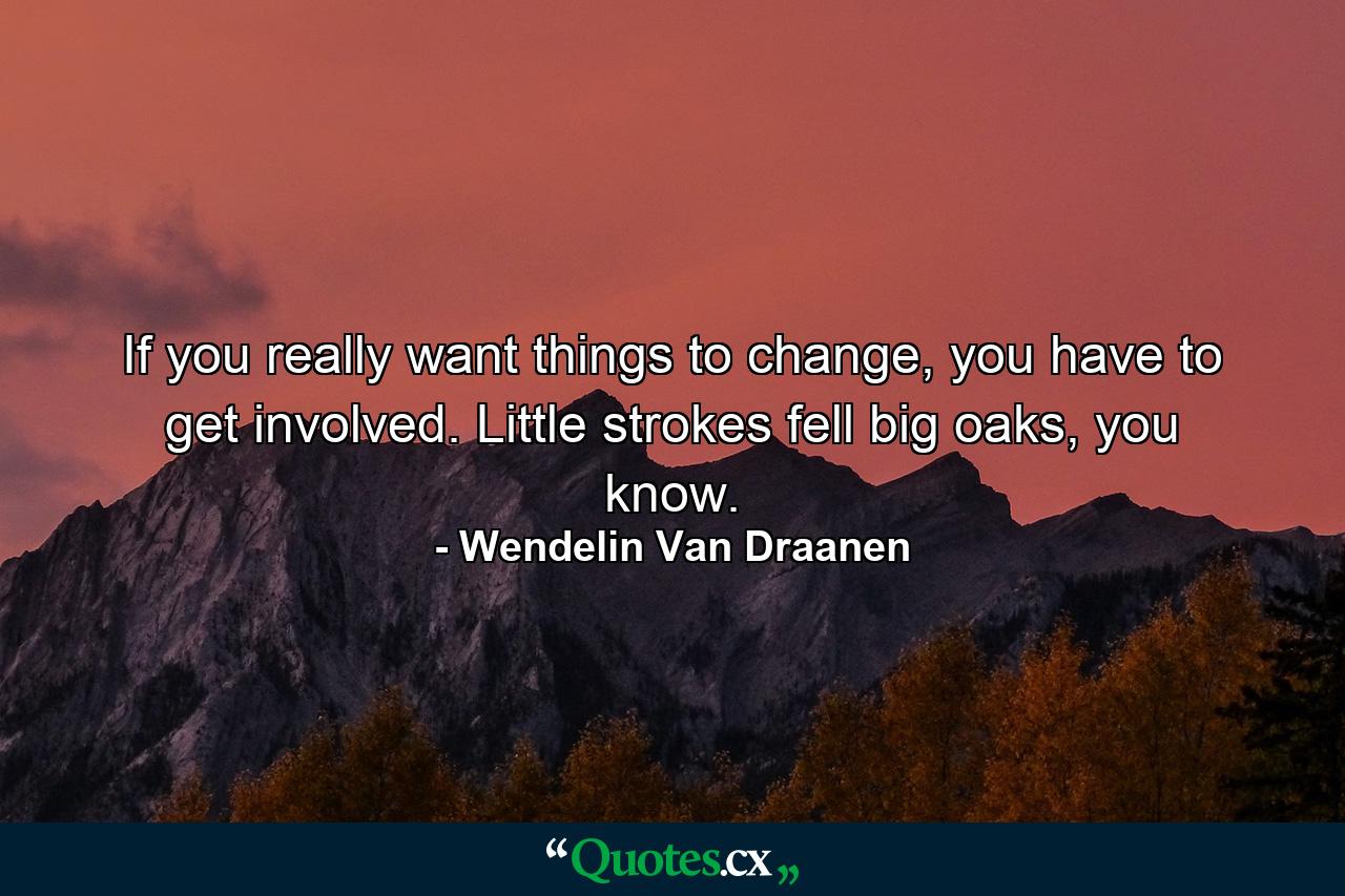 If you really want things to change, you have to get involved. Little strokes fell big oaks, you know. - Quote by Wendelin Van Draanen